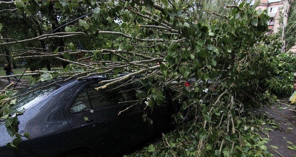 В Запорожье стихия разнесла металлический забор и обрушила деревья на авто