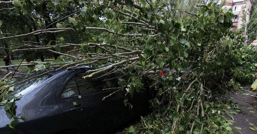В Запорожье стихия разнесла металлический забор и обрушила деревья на авто
