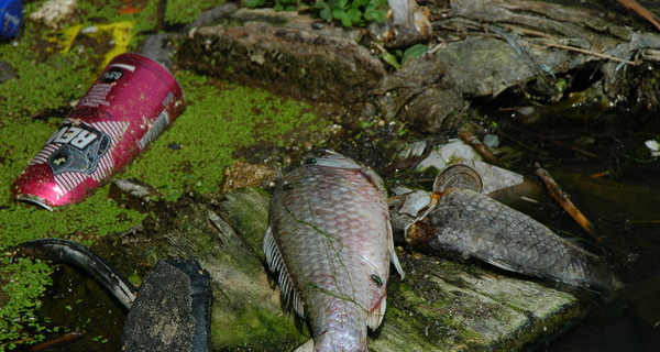 В Донецке из-за аварии на 