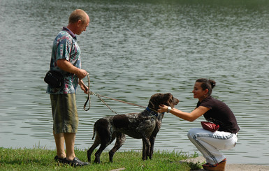 Собакам в Донецке определили места для выгула