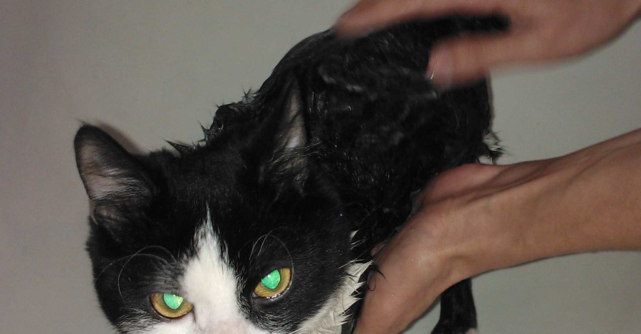 Фотоконкурс 