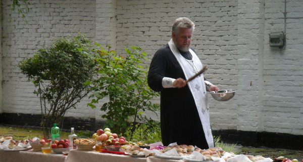 К Спасу подешевели яблоки и мед