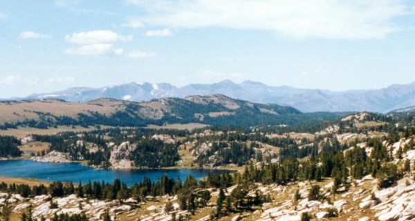 В Йеллоустонском национальном парке США медведи массово нападают на людей 