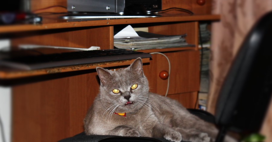 Фотоконкурс 