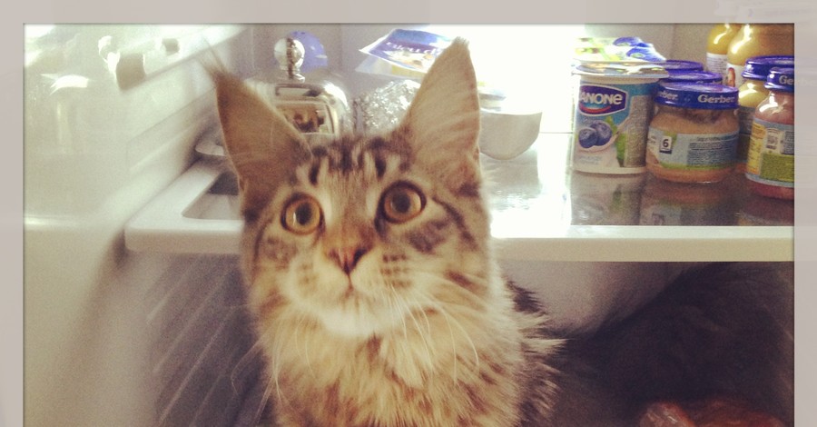 Фотоконкурс 