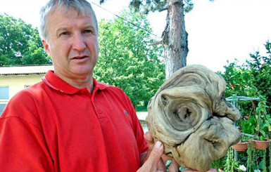 На хорватском кладбище выкопали голову инопланетянина
