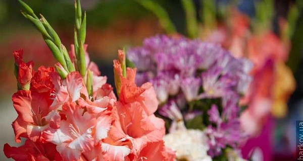 В Харькове установили 