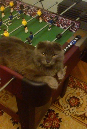 Фотоконкурс 