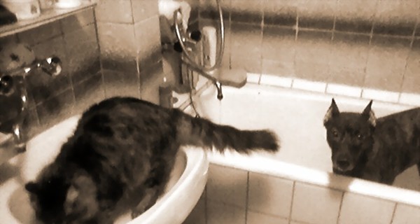 Фотоконкурс 