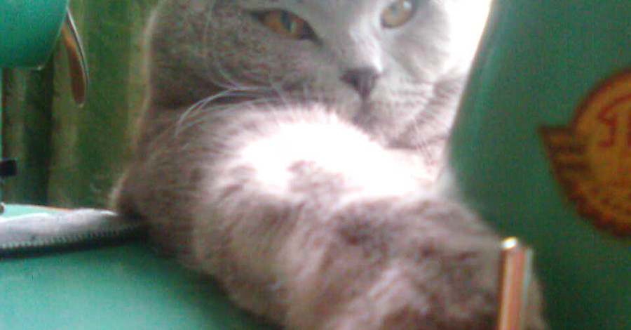 Фотоконкурс 