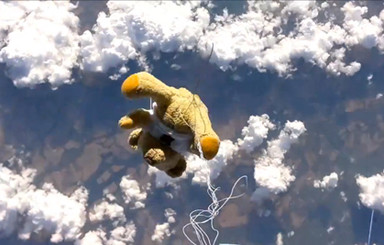 Плюшевый медведь побил мировой рекорд по высоте прыжка с парашютом