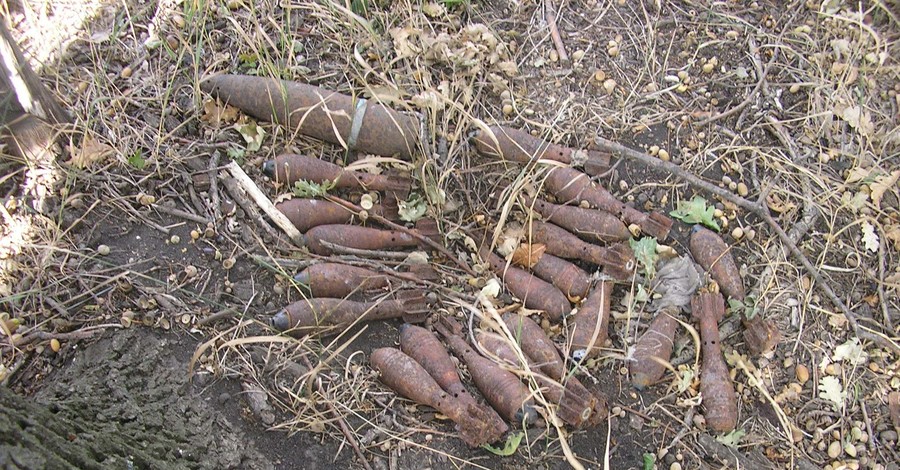 Под Харьковом археологи нашли арсенал боеприпасов
