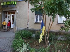 На Закарпатье неизвестные пытались сжечь украинский флаг
