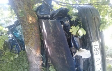 Авария в Одессе: автомобиль согнуло о дерево