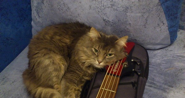 Фотоконкурс 