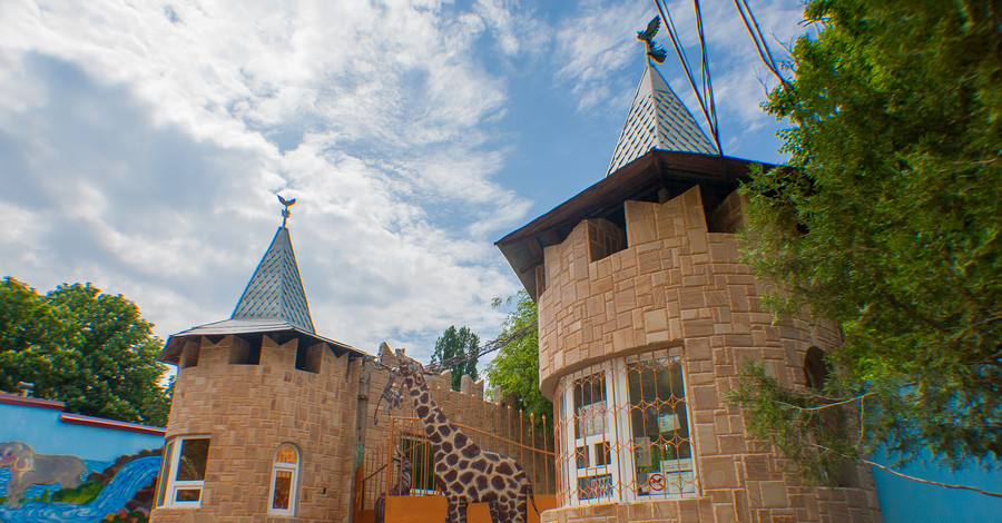 В Гагаринском парке Симферополя поселятся жирафы и зебры