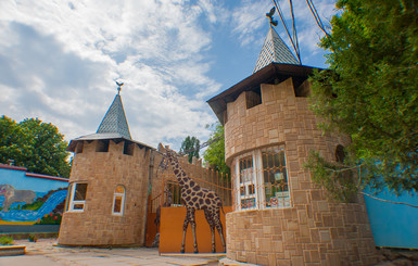 В Гагаринском парке Симферополя поселятся жирафы и зебры