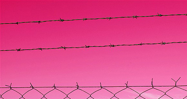 Стены тюремных камер Швейцарии покрасили в розовый, чтобы успокоить заключенных