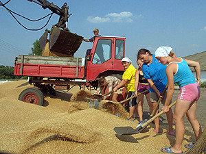 Чем залатать бюджетную дыру