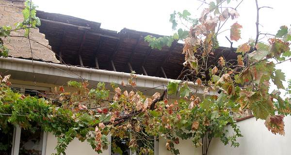 Вместо крыши рухнувшего дома на Молдованке натянут пленку, жильцы будут жить на улице