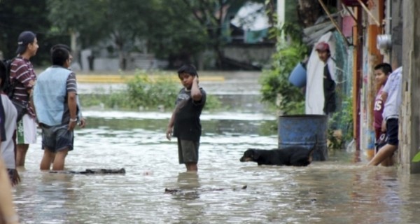 Жертвами урагана 