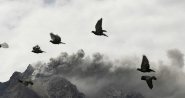 В Индонезии из-за извержения вулкана эвакуировали почти 4 тысячи человек