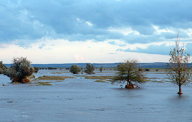 Причиной потопа на юге Одесской области стали тропический ливень