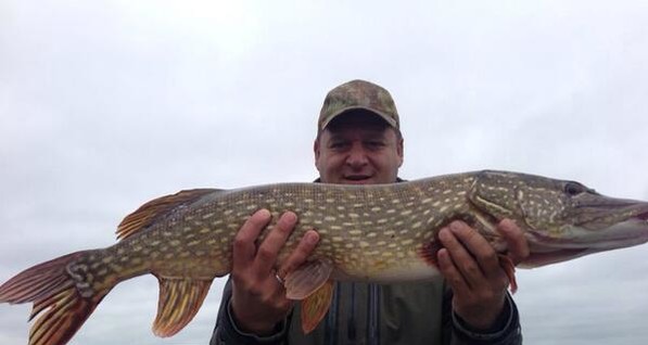 Добкин поймал 