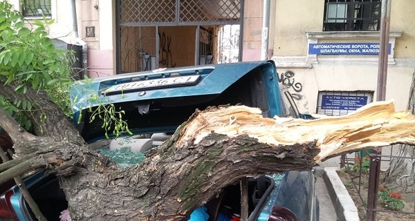 Огромная ветка разгромила два авто и угодила одесситке по голове