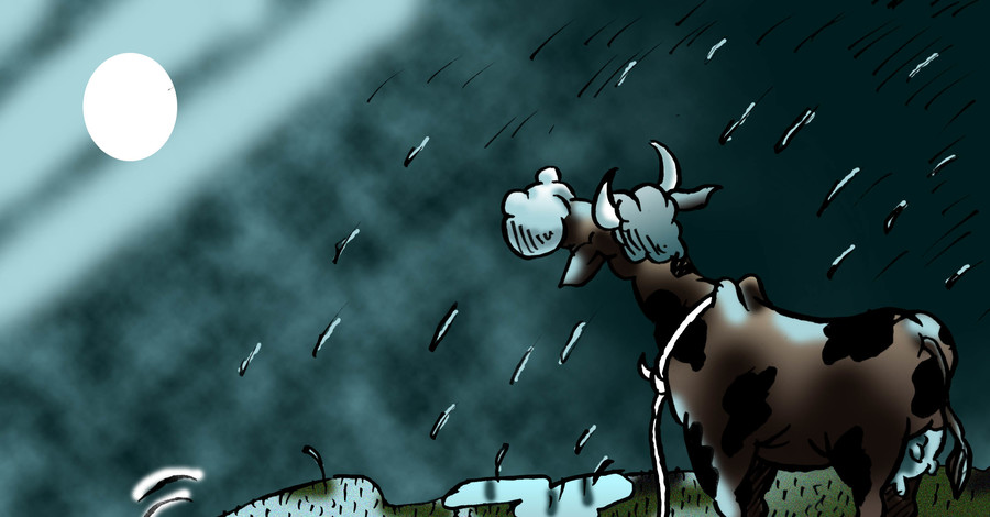 Как погода влияет на вашу жизнь?