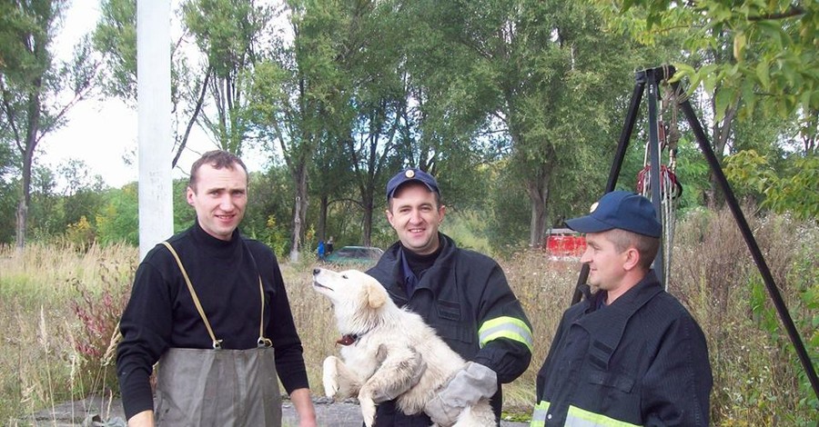 В Тернополе ради дворняжки развернули спасательную операцию 