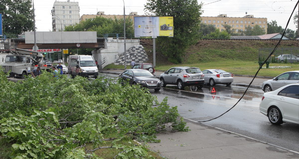 В Мариуполе спасая собаку погиб молодой мужчина