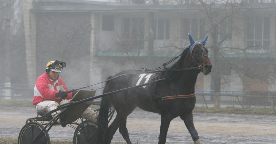 Делаем ставки 