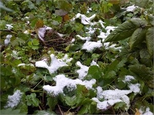 В Днепропетровске пошел первый снег