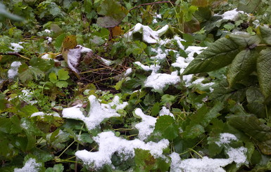 В Донецке выпал первый снег