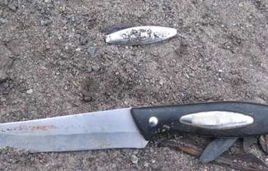 В Житомирской области жестоко избили киевского  таксиста