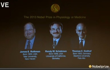 Нобелевскую премию по медицине дали за 