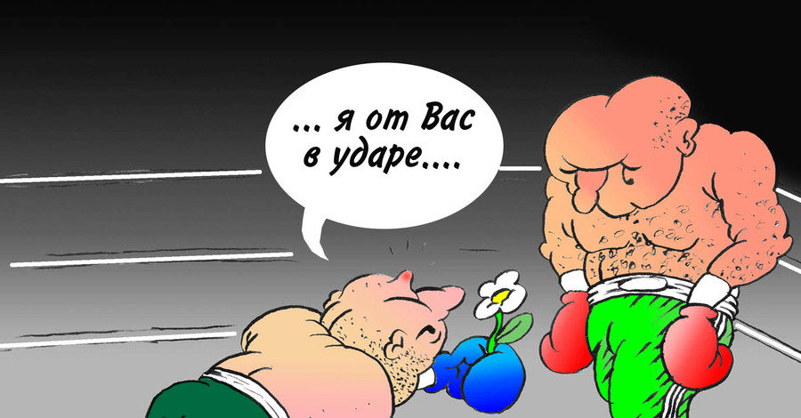 Как вам такой поединок?