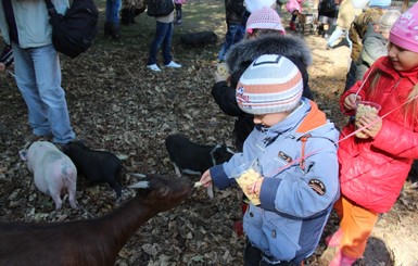 В Бахчисарае открылся контактный зоопарк: зверей можно гладить и кормить с рук