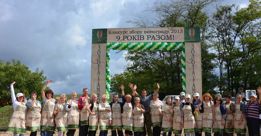 Спелые гроздья винограда собрали с европейских саженцев в Крыму