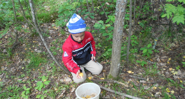 В Днепропетровской области первоклашки в школе наелись поганок