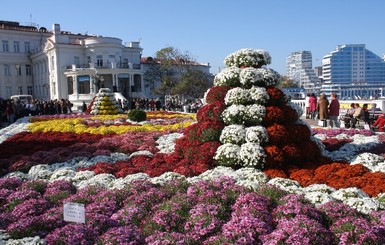 В Севастополе появилась клумба из 2,5 тысяч горшочков хризантем 