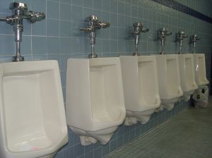 Ученые постановили: все млекопитающие мочатся одинаково  