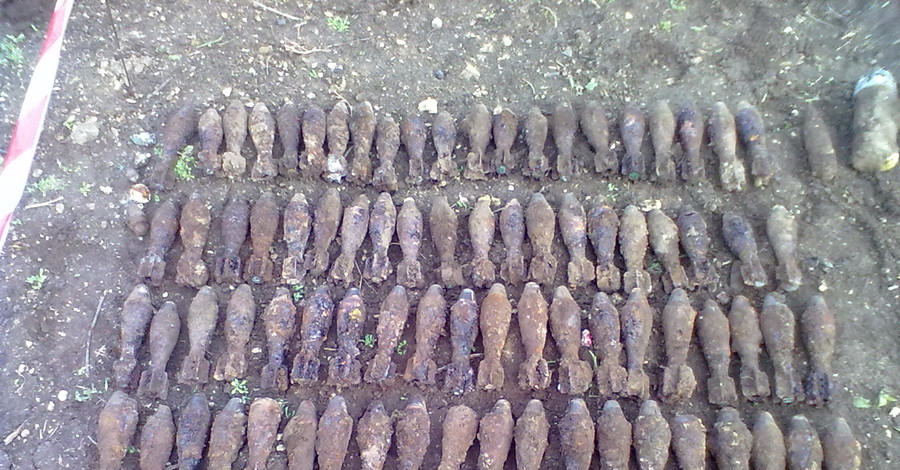 Жительница Луганщины нашла в огороде 99 военных мин