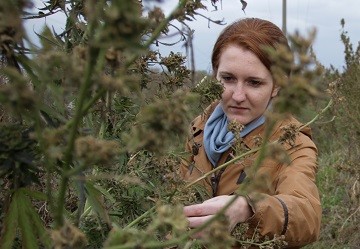 Жители Березани: 