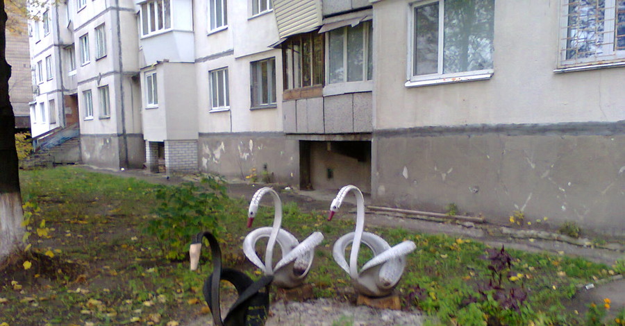 В киевском дворике поселились необычные лебеди