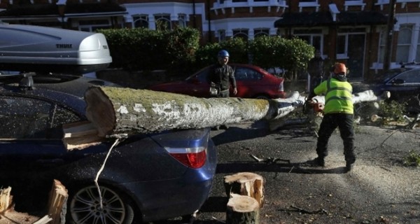 Жертвами шторма 