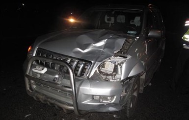 Погибшая собака, которую пытался спасти хозяин, до сих пор лежит у дороги