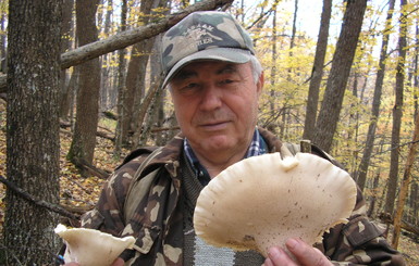 Крым бьет рекорды по количеству отравлений грибами