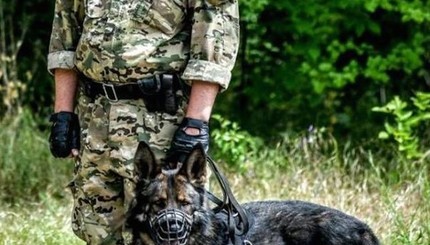 В Запорожье собаку погибшего в ДТП кинолога искали даже экстрасенсы